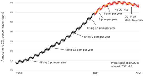 A line graph showing a projection of the Keeling Curve showing the Mauna Loa Observatory record for atmospheric carbon dioxide from 1958 to 2021 (black line) and the projected pathway of this curve under SSP1-1.9 (red line), the SSP scenario that encompasses the 1.5 °C future. The graph shows an increasing CO2 concentration through the observed past, with continued increases in the projected future before the start of a downturn towards the middle of the century shown by the red line. 