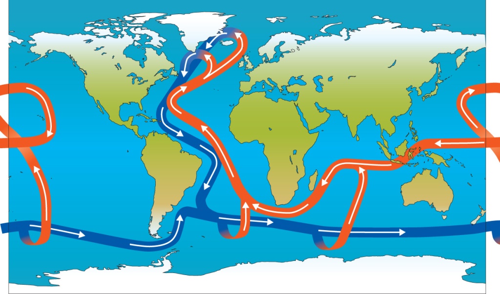 Image showing a map of the world and ocean circulations indicated by red arrows for warm surface water and blue arrows for cold deep water.